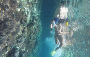 Nusa Penida Snorkeling Service Best Nusa Penida Tour
