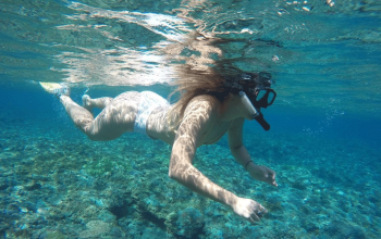 Snorkeling Nusa Penida Best Nusa Penida Tour Service