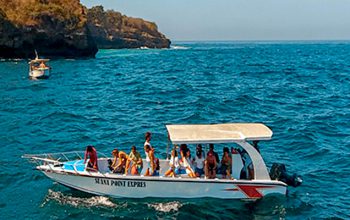 Nusa Penida Snorkeling Service Nusa Penida Tour Package Best Nusa Penida Tour
