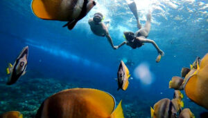 Nusa Penida Snorkeling Service Manta Point Best Nusa Penida Tour